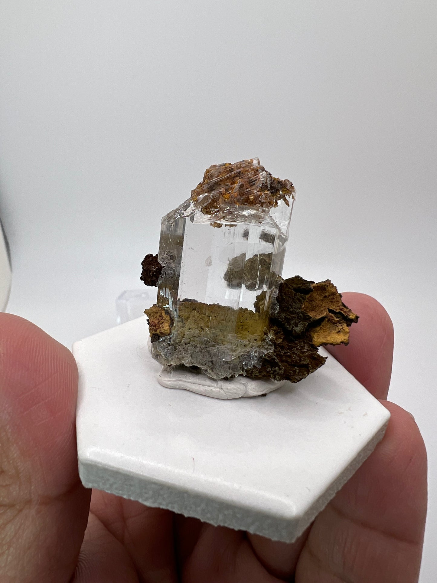 @Fossiltok